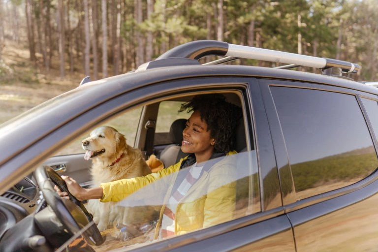 Woman driving an SUV with a golden retriever in the passenger seat